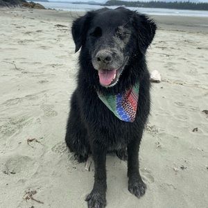 Meet your Posher, La